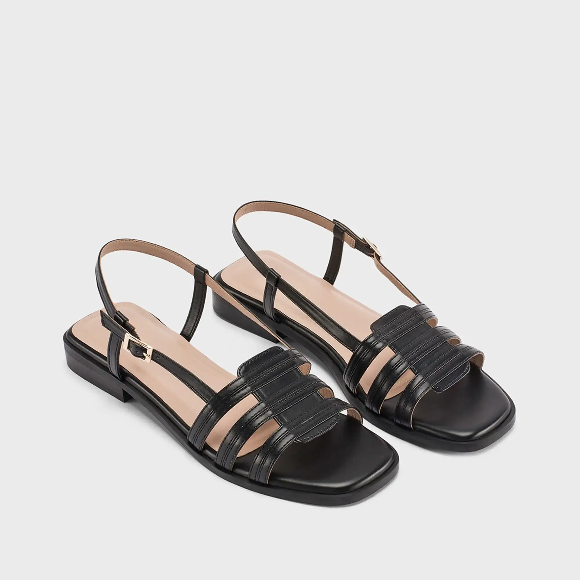 New Arrival